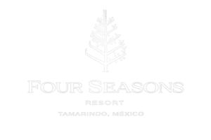 Four Seasons